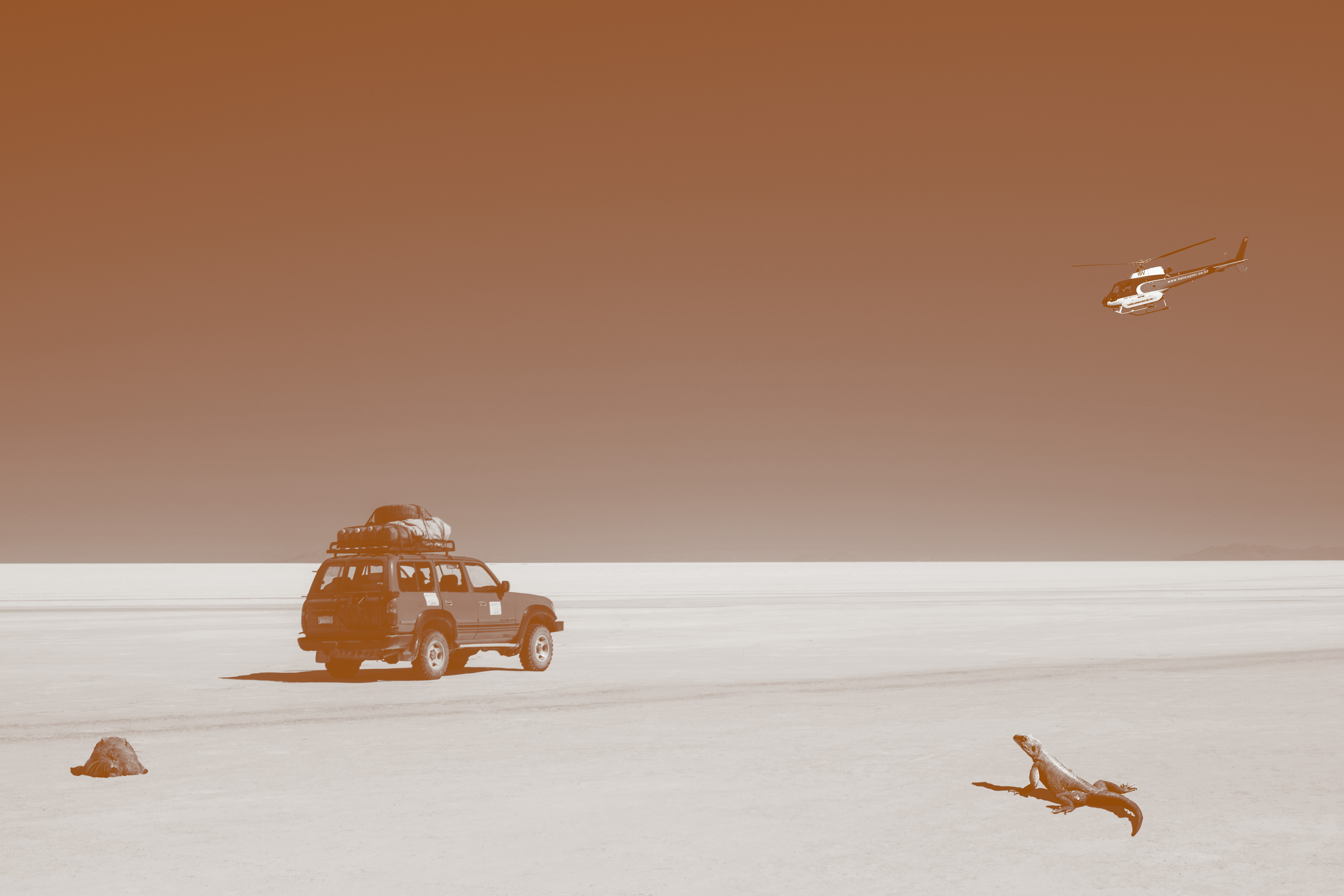 photo montage of a lizard, a groundhog, a car and a helicopter in a salt desert