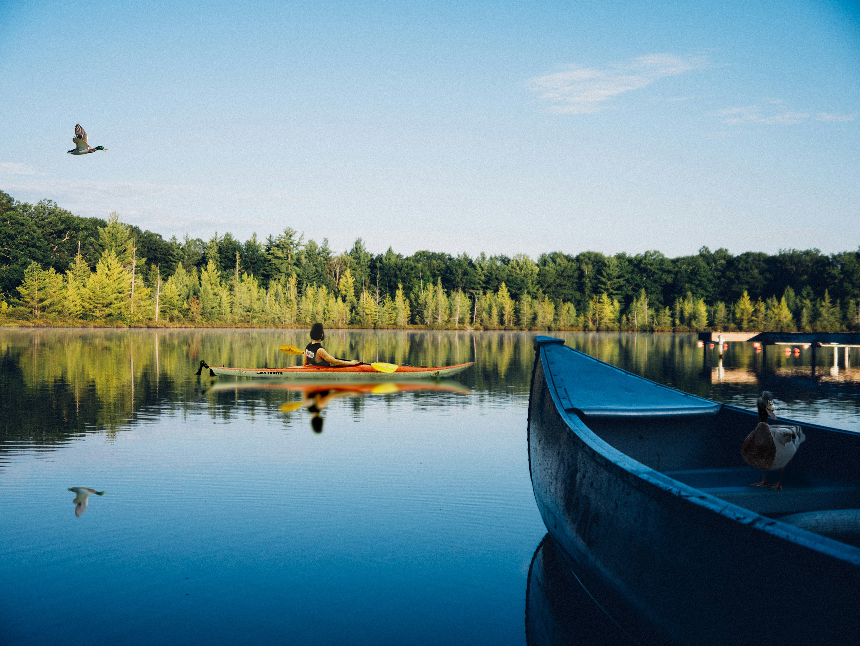 photo montage of ducks and a kayak on a lake